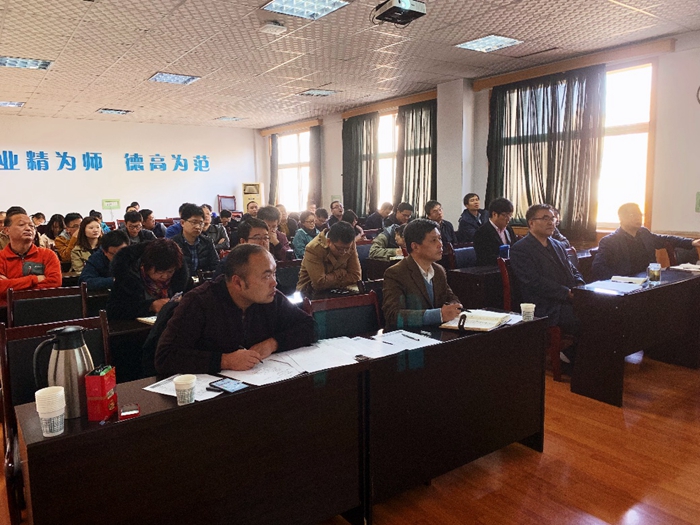 杨1.jpg